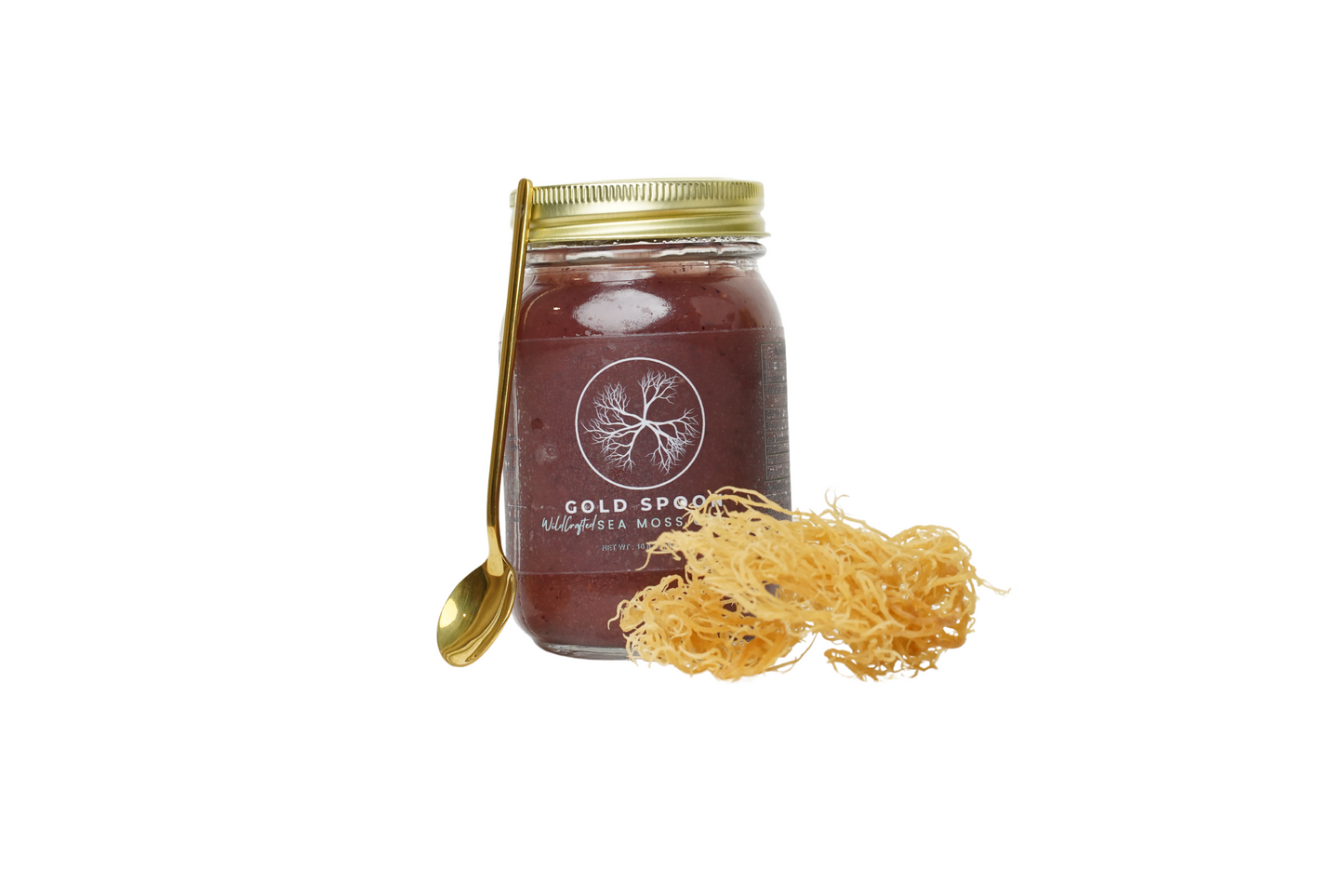 Blueberry Sea Moss Gel